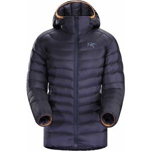 Arcteryx Cerium LT hoody